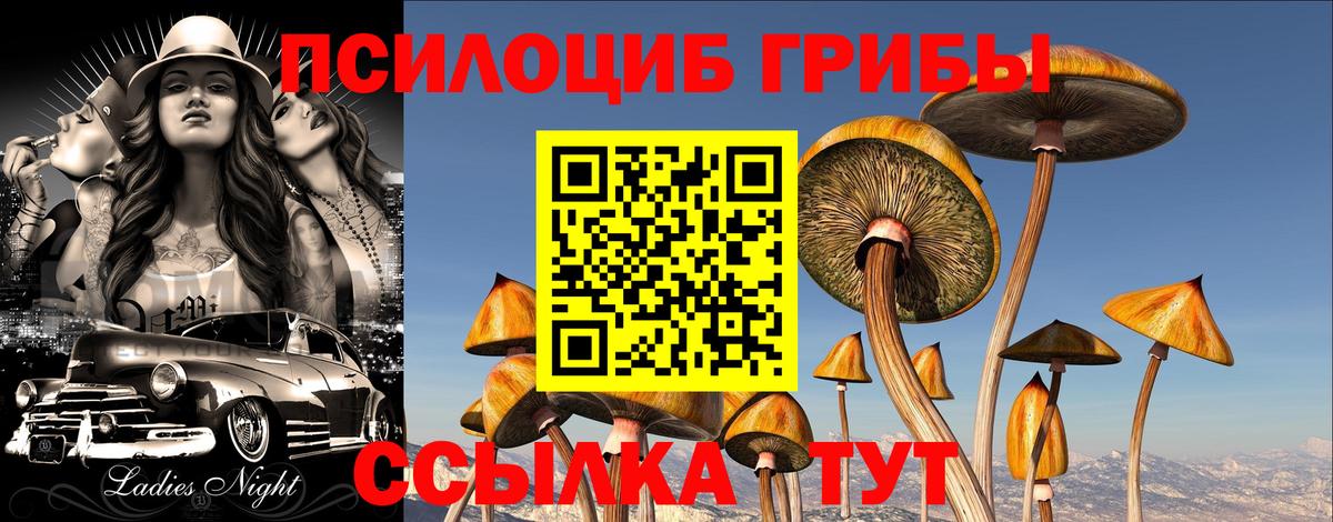 Орёл  купить наркоту  Галлюциногенные грибы мицелий  Вход с VPN  Псилоцибиновые грибы GOLDEN TEACHER 