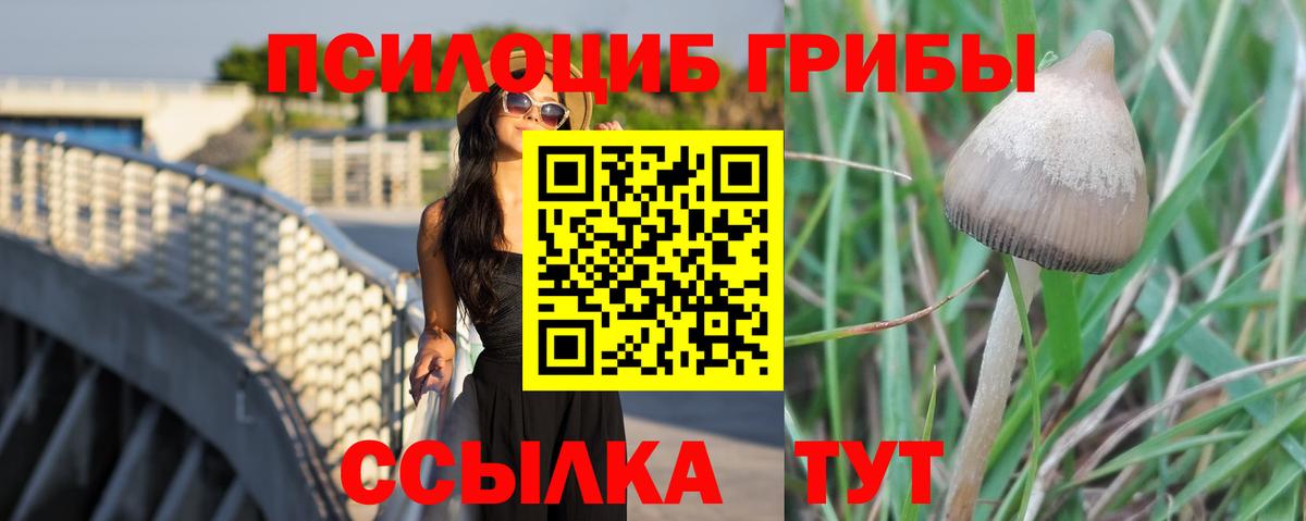 Галлюциногенные грибы ЛСД Орёл